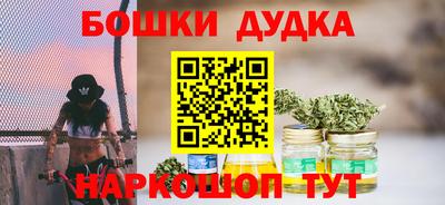 СК Гатчина