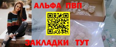 СК Гатчина