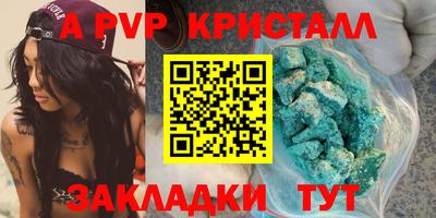 СК Гатчина