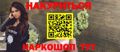 СК Гатчина