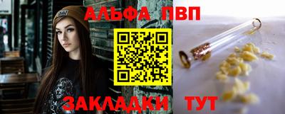 СК Гатчина