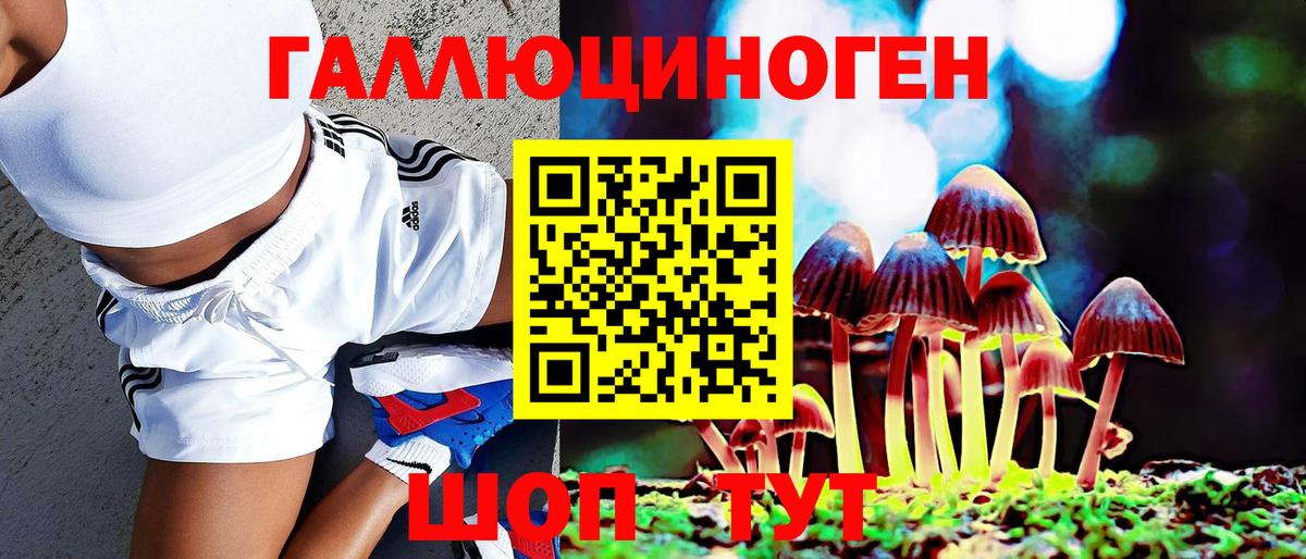 Псилоцибиновые грибы Psilocybe  Вход с VPN  Сальск 