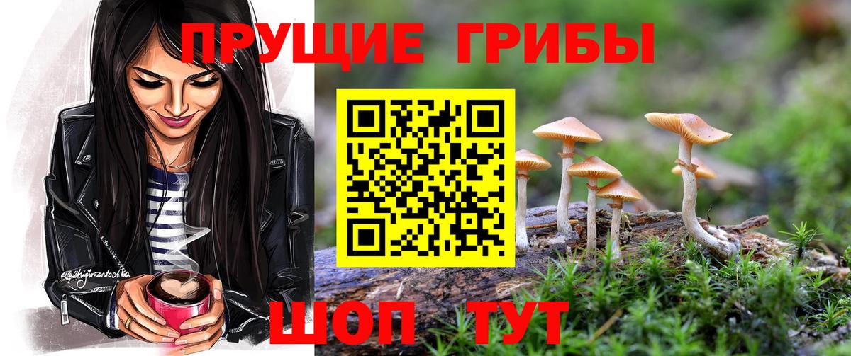 Псилоцибиновые грибы Magic Shrooms Сальск